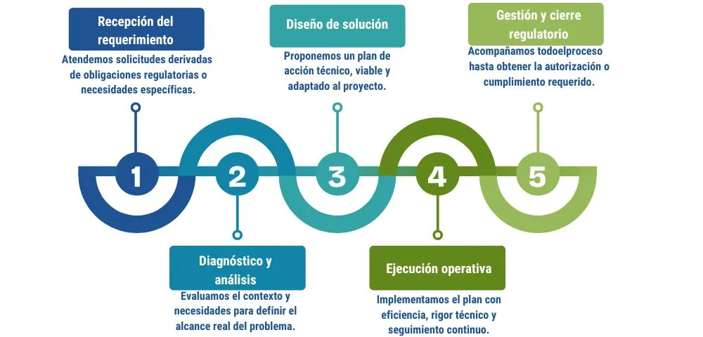 Diseño de solución proponemos un plan de acción técnico, viable y adaptado al proyecto.